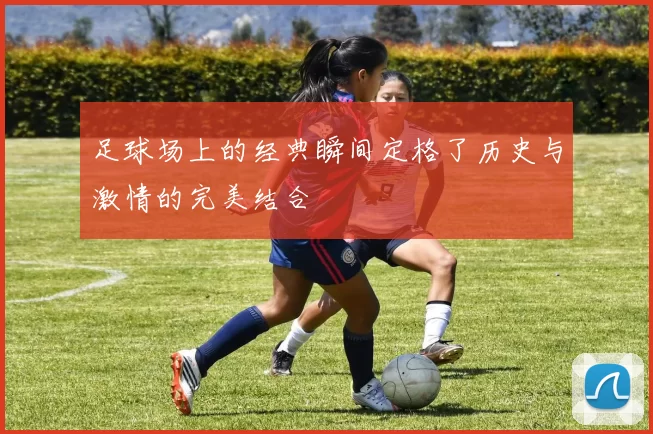 足球场上的经典瞬间定格了历史与激情的完美结合